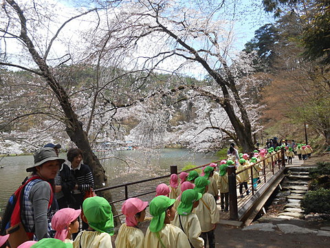 臥竜公園へお花見