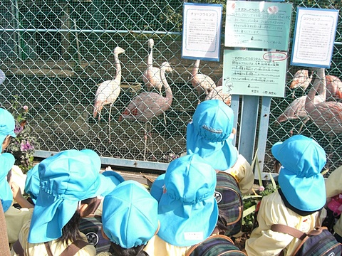 動物園