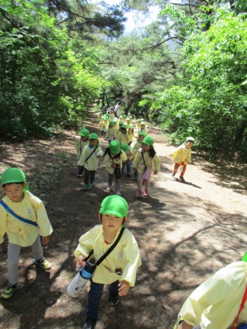 山登り