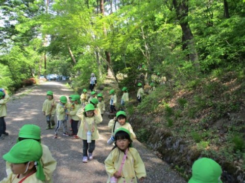 臥竜山散策（1）